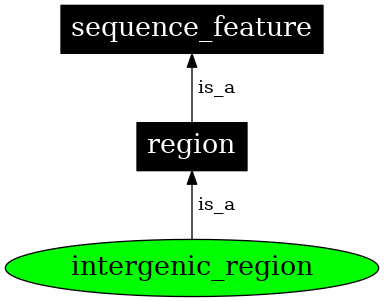 Graph image for SO:0000605