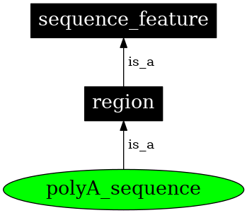 Graph image for SO:0000610