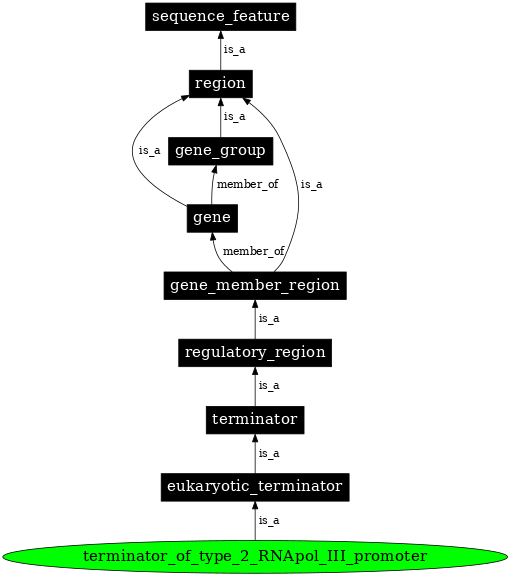 Graph image for SO:0000615