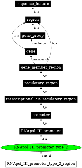 Graph image for SO:0000618