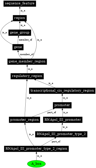 Graph image for SO:0000619
