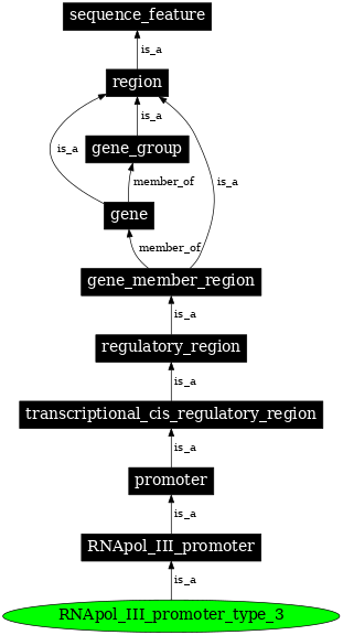 Graph image for SO:0000621