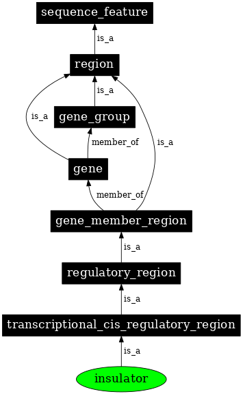 Graph image for SO:0000627