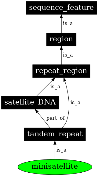 Graph image for SO:0000643