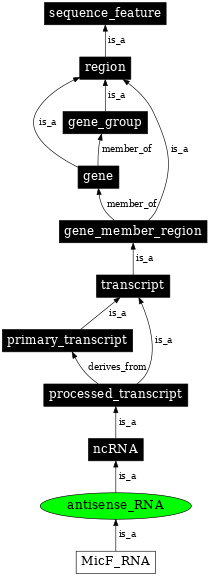 Graph image for SO:0000644