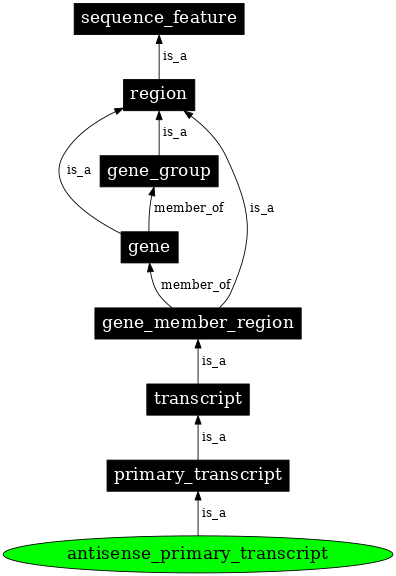 Graph image for SO:0000645