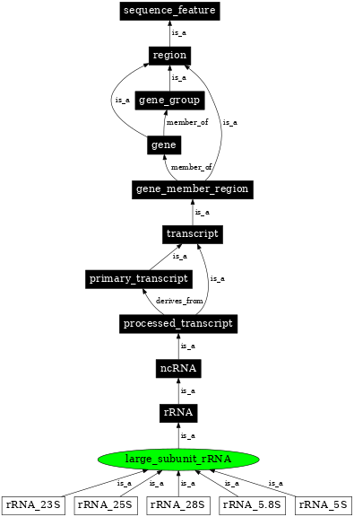 Graph image for SO:0000651
