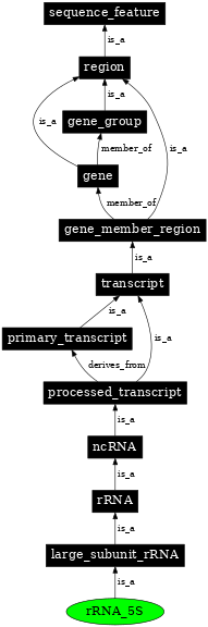 Graph image for SO:0000652