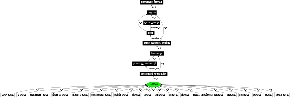 Graph image for SO:0000655