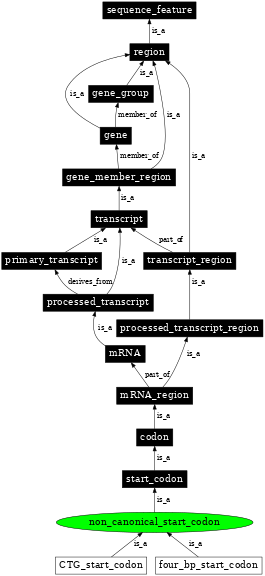 Graph image for SO:0000680
