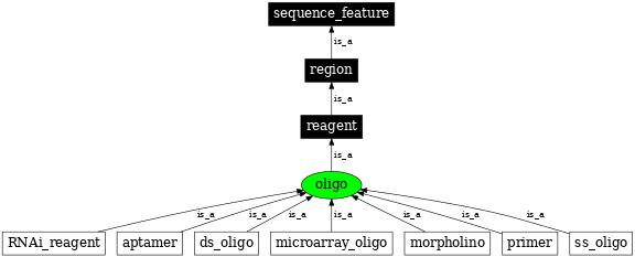 Graph image for SO:0000696