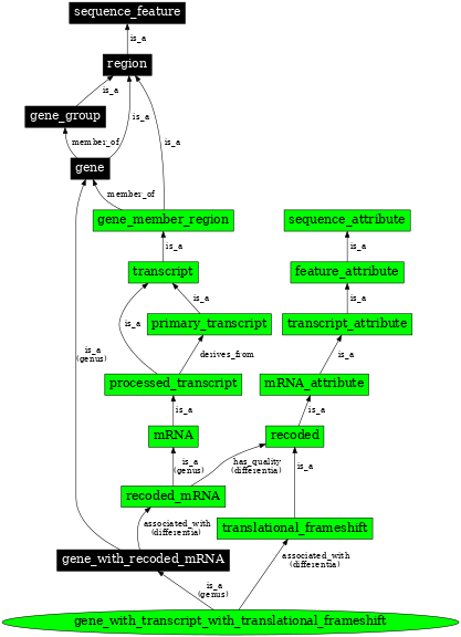 Graph image for SO:0000712