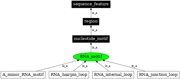 Graph image for SO:0000715