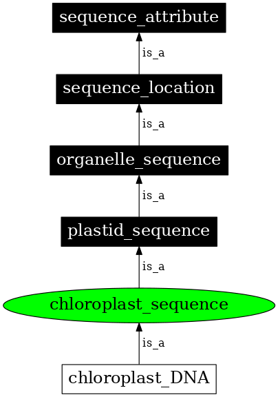 Graph image for SO:0000745
