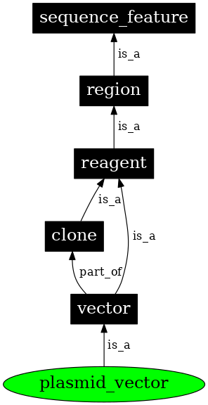Graph image for SO:0000755