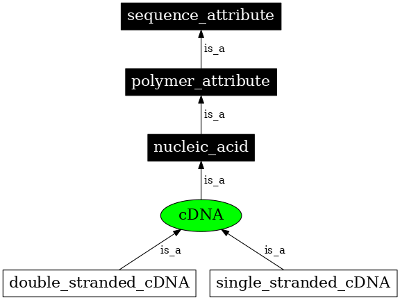 Graph image for SO:0000756