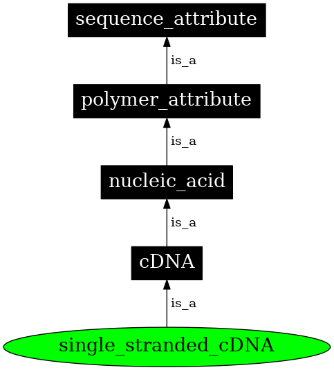 Graph image for SO:0000757