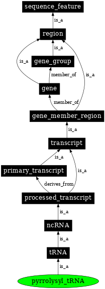 Graph image for SO:0000766