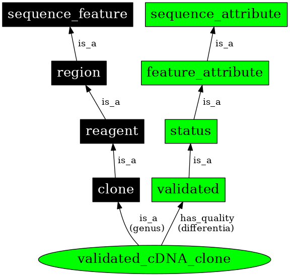 Graph image for SO:0000808