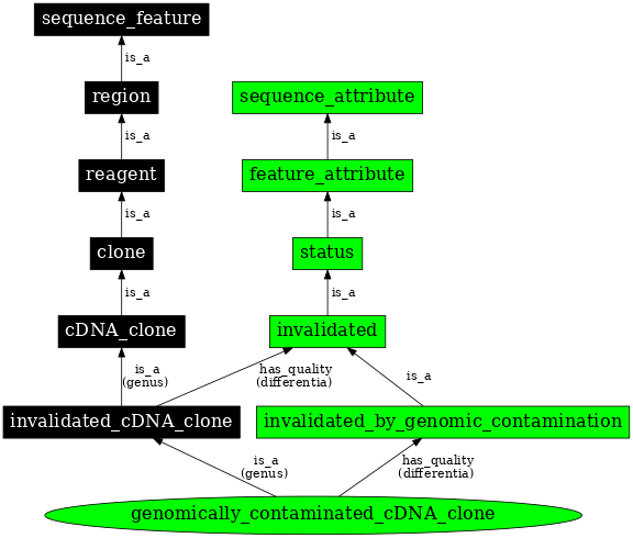 Graph image for SO:0000811