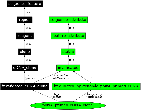 Graph image for SO:0000812