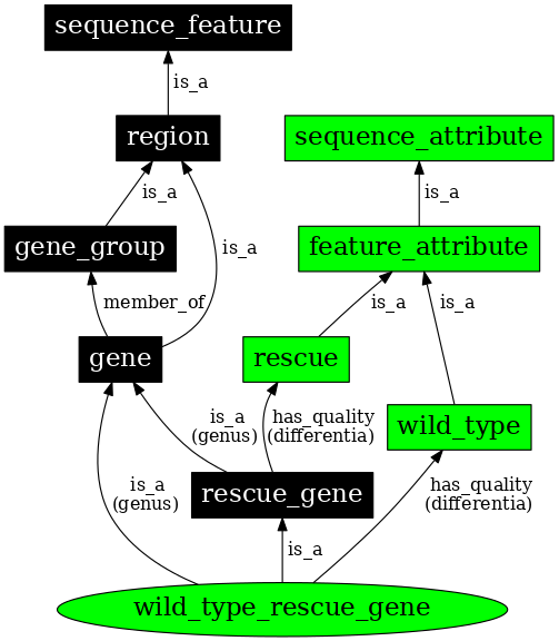 Graph image for SO:0000818