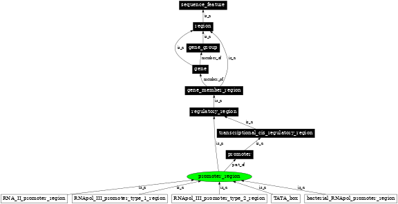 Graph image for SO:0000832