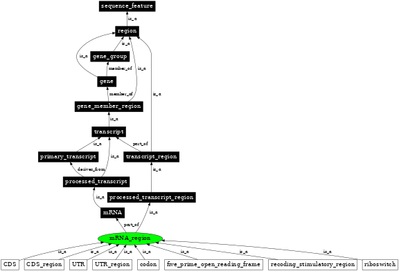 Graph image for SO:0000836