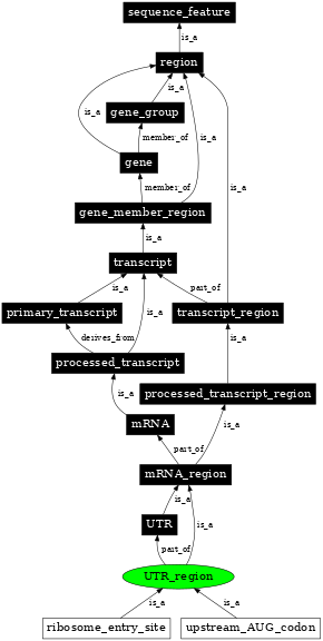 Graph image for SO:0000837