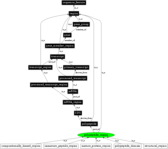 Graph image for SO:0000839