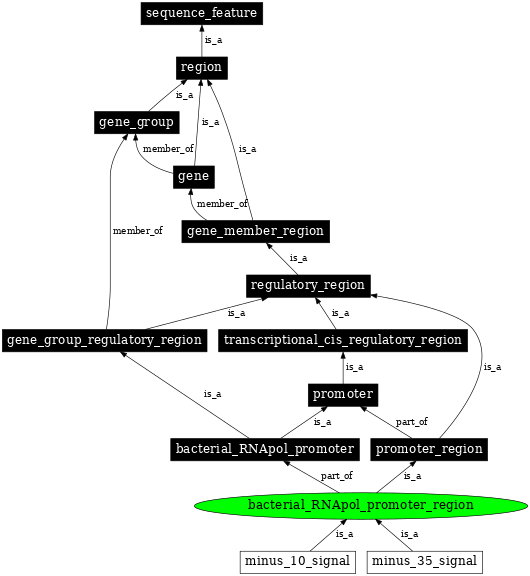 Graph image for SO:0000843
