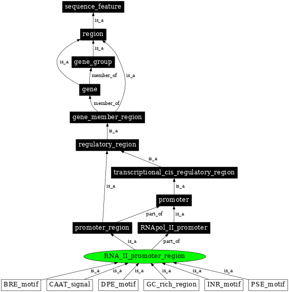 Graph image for SO:0000844