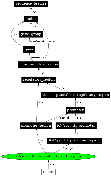 Graph image for SO:0000845