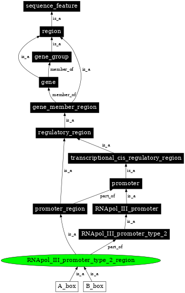 Graph image for SO:0000846