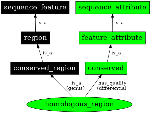 Graph image for SO:0000853