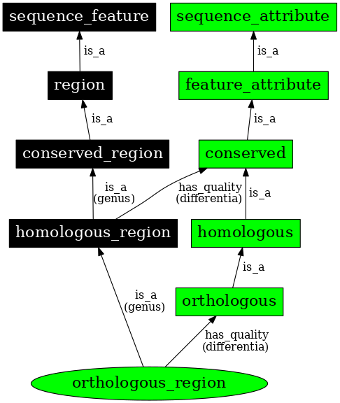 Graph image for SO:0000855
