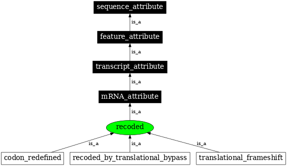 Graph image for SO:0000881