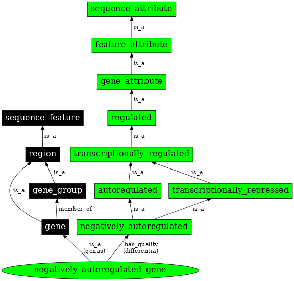 Graph image for SO:0000891