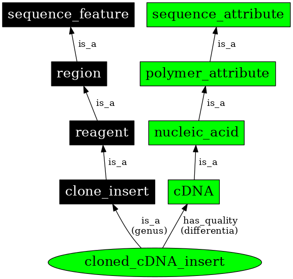 Graph image for SO:0000913