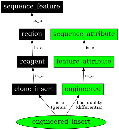 Graph image for SO:0000915