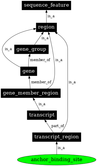 Graph image for SO:0000977