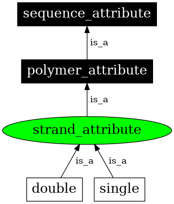 Graph image for SO:0000983