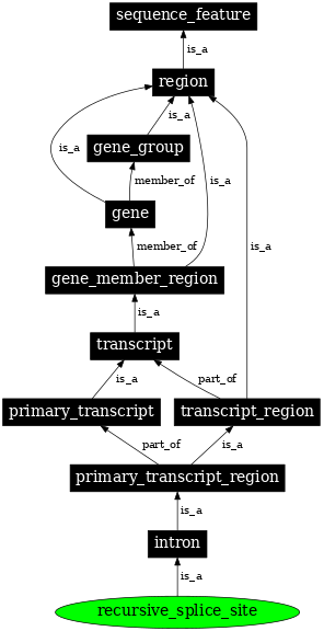 Graph image for SO:0000998