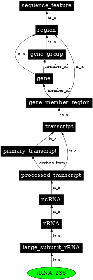 Graph image for SO:0001001