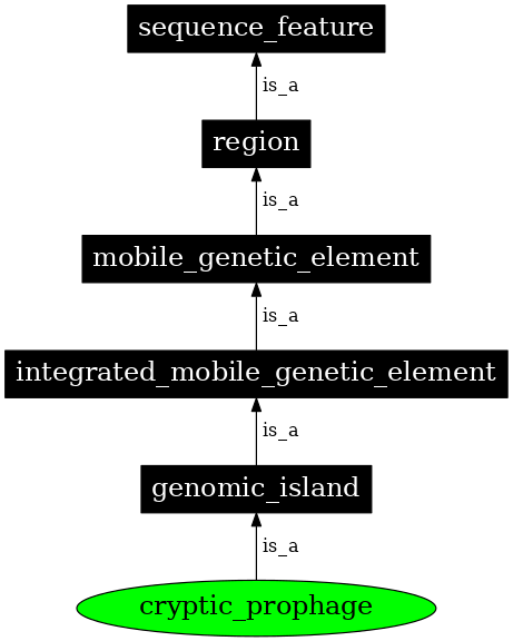 Graph image for SO:0001007