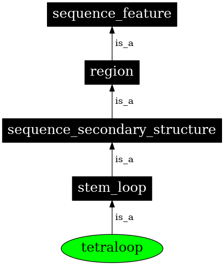 Graph image for SO:0001008