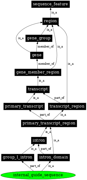 Graph image for SO:0001016