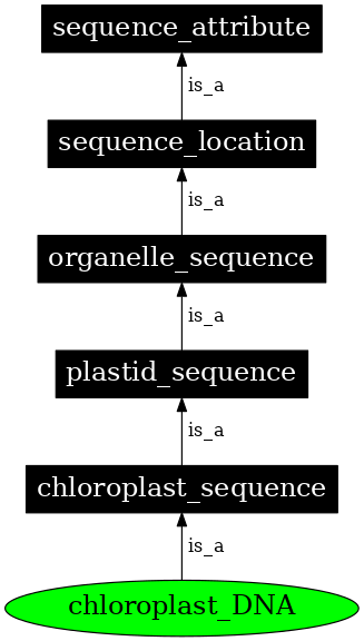 Graph image for SO:0001033