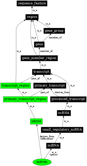 Graph image for SO:0001034