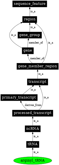 Graph image for SO:0001036